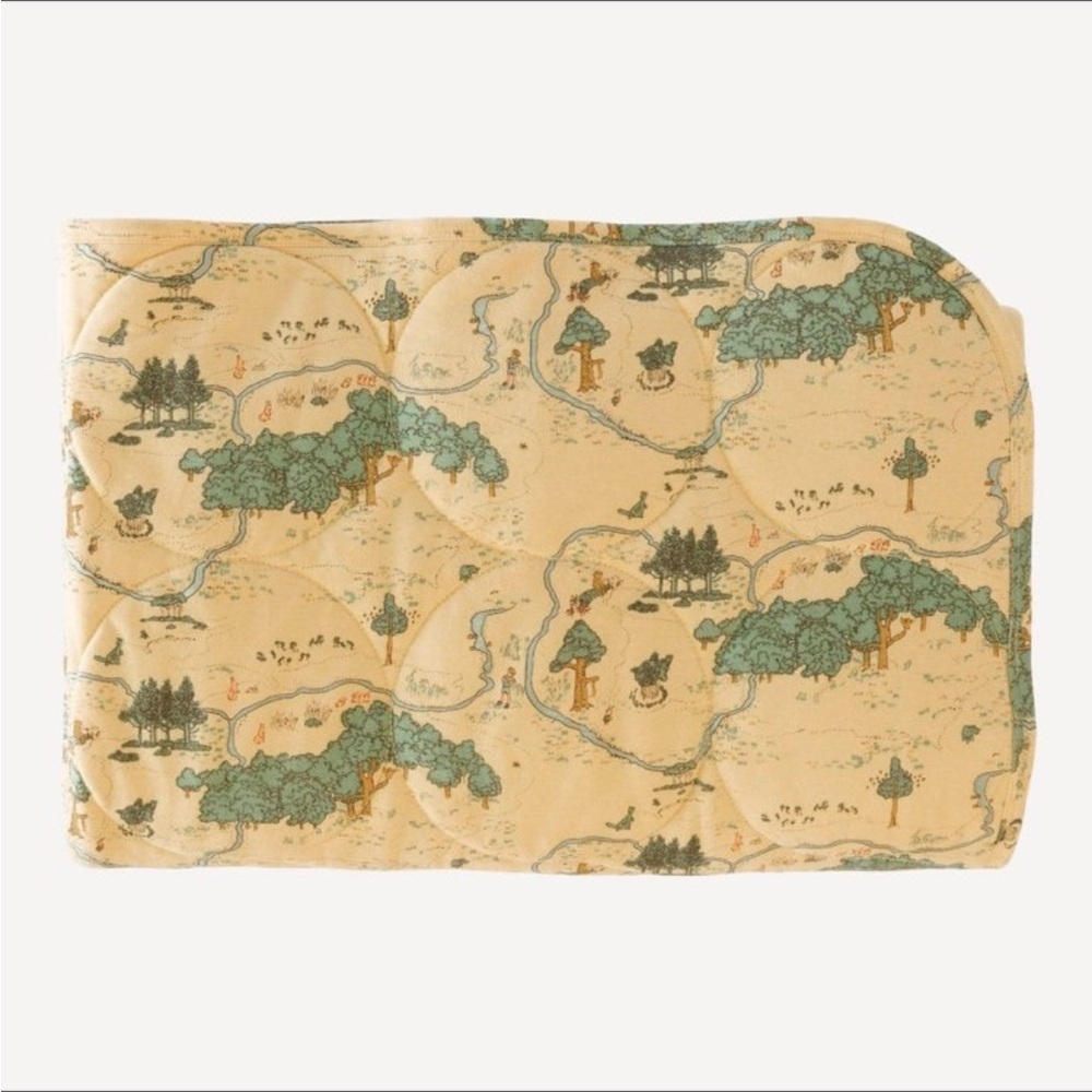 Kate Quinn Pooh Map quilt